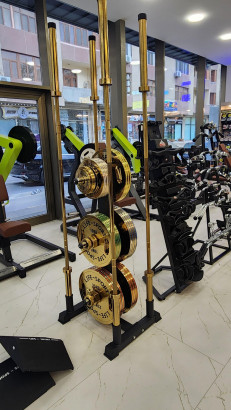 Life Sport Pro Bronze Coating Change Plate 20 kg